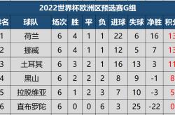 开云体育中国官方网站-包含意大利失利连胜告终，俄罗斯与荷兰战平的词条