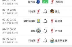 开云体育官方网站入口-利物浦客场保持不败，继续领先积分榜