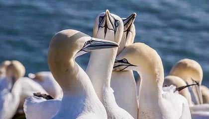 2025云开体育app官网入口网页版利物浦客场胜利，萨拉赫梅开二度，红军士气高涨