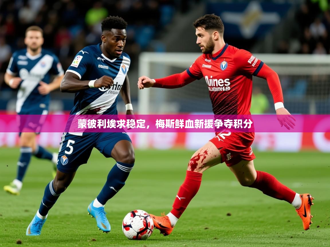 2025开云kaiyun体育app入口下载官网蒙彼利埃求稳定，梅斯鲜血新援争夺积分  第1张