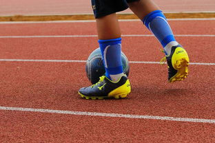 2025云开体育app官网入口网页版公牛签下自由球员韦德，助阵新赛季  第2张